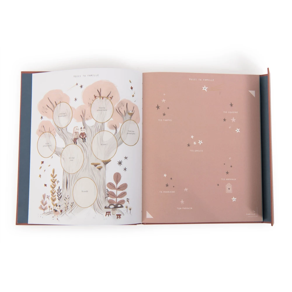 Moulin Roty Livre De Naissance Après La Pluie – Image 2