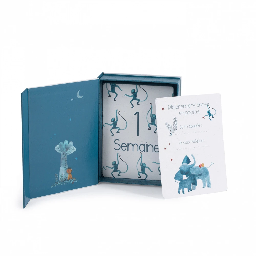 Moulin Roty Cartes Photos Souvenirs Mes 12 Premiers Mois Sous Mon Baobab – Image 3