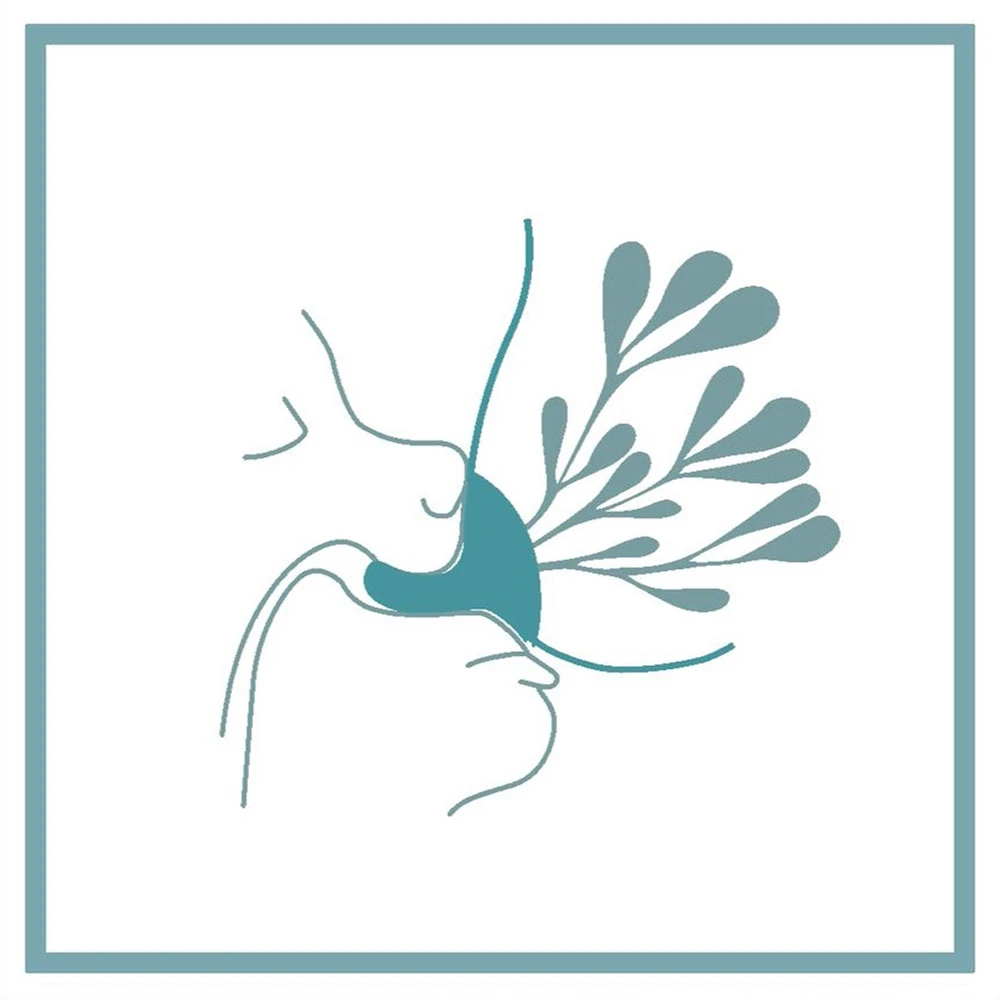 Suavinex Pack Biberon Zéro Zéro 270 Ml Débit Moyen + Tétine + Poche Silicone – Image 3